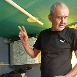 , 55, 