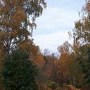 ���� �����, ������, 43 ���� - ��������� 6 ������� 2023 � ������ ������ ��������