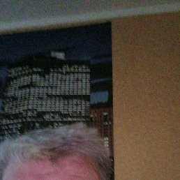 , 61, 