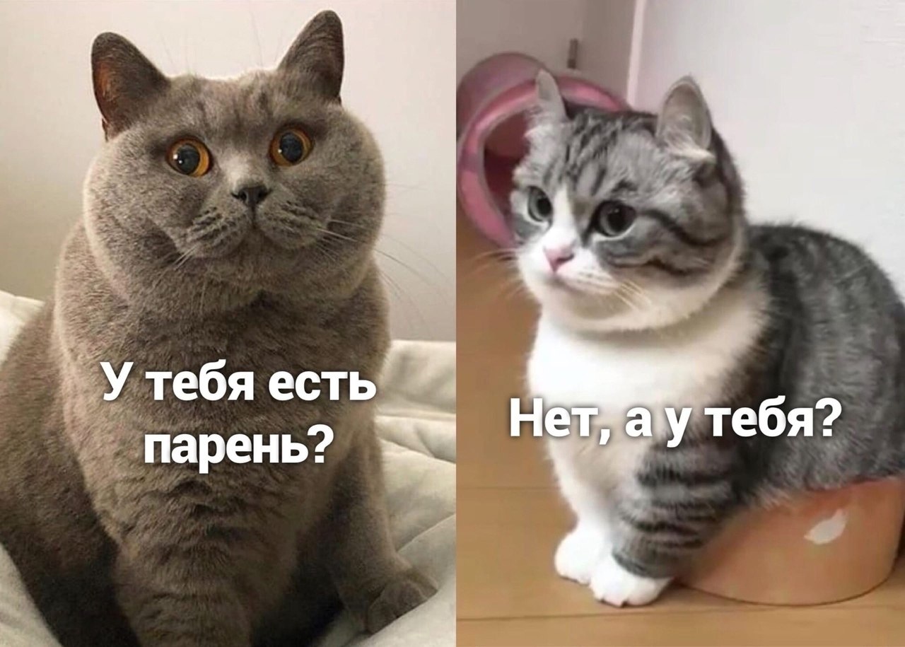 �� ��� ���)