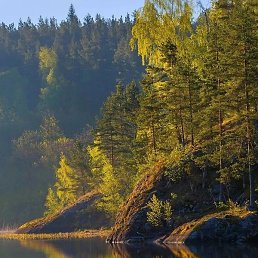 �����, �����-���������, 35 ���