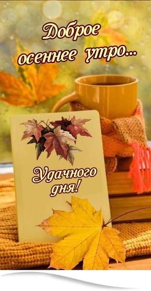 Пусть это утро принесет тепло и солнышко, пусть на лице весь день будет улыбка и радость! Всем ...