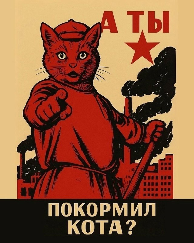 JPG - 11  2025  13:35