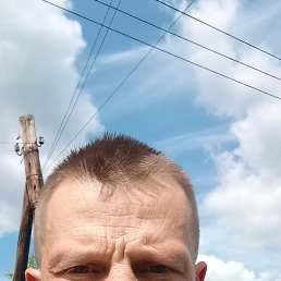 , 37, 