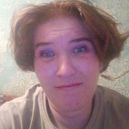 ������ ������������, ��������, 41 ���