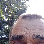 , 52 , 