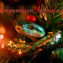 ���� �������, ������������, 51 ��� - ��������� 31 ������� 2024 � ������ ������ ��������