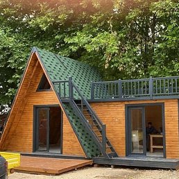 ������������, ���������, 41 ���