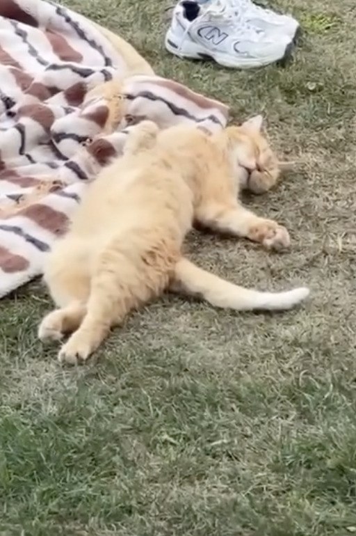 ��� ��� ������ ��������� ������ ���� - 2