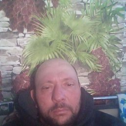 �������, ������, 43 ����