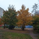 ���� ���������, ����� - ��������� 10 ������� 2025 � ������ ��������������� ������ ���������Ȼ