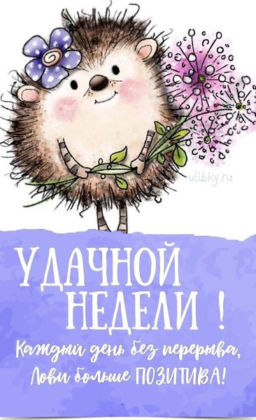 ~~~~~~~~~~~~~