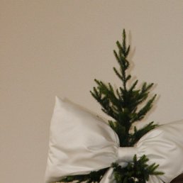 ������, ���, 20 ���