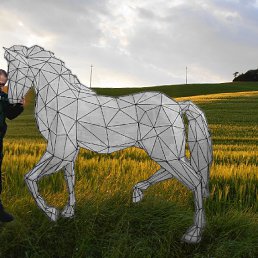 Фото Юрий, Краснодар, 64 года - добавлено 17 июня 2024