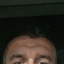 , 46, 