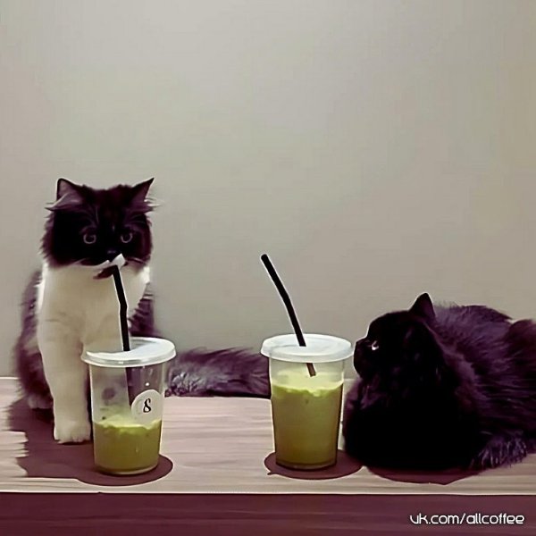    - 26  2025  10:58 - 2