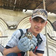 �������� ������������, 47 ���, �������