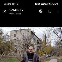 ������, 41 ���, ���������