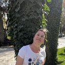 ���� �������, ������, 55 ��� - ��������� 29 ����� 2026