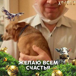 �����, ������, 63 ����