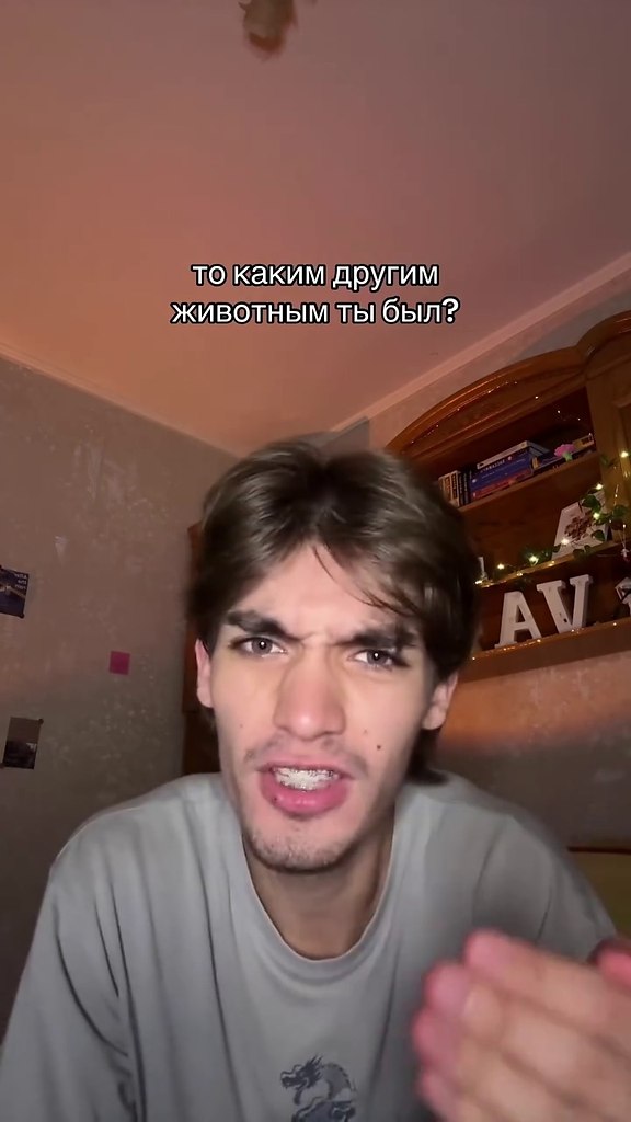 ������� ����: ��� �� �� ����� ����?