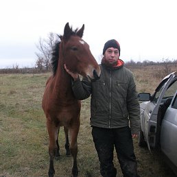 ���� ��������, ������, 32 ���� - ��������� 10 ������� 2026