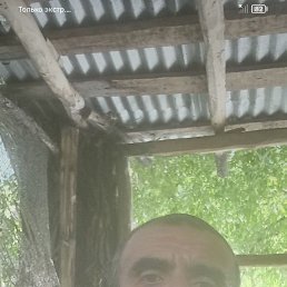 , 40, 
