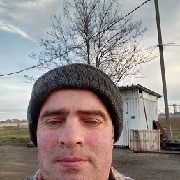 �����, 47 ���, ���������