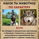 ���� ���������, ����������� - ��������� 7 ������ 2026 � ������ ������ ��������