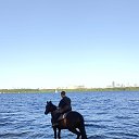 ���� ������, ������, 48 ��� - ��������� 7 ������� 2024 � ������ ���� ����������
