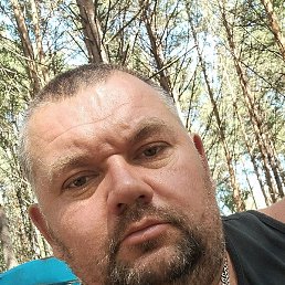 ����, ��������, 43 ����