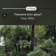 ����, 50 ���, ������