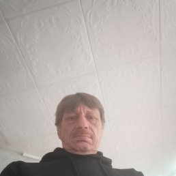 , 56 , -