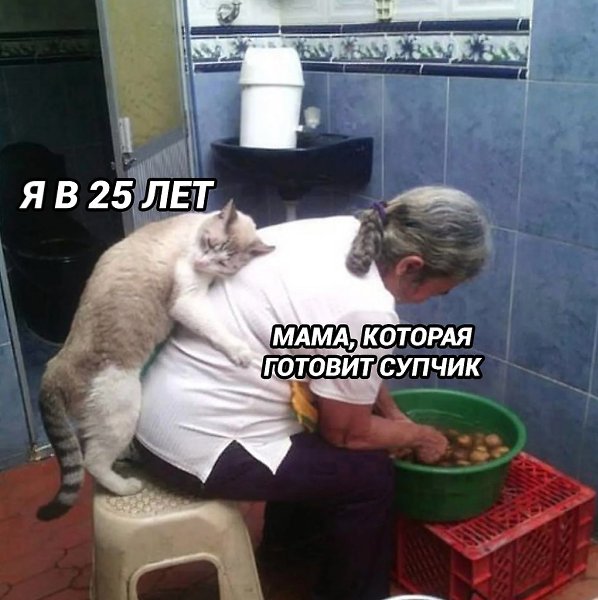       - 2