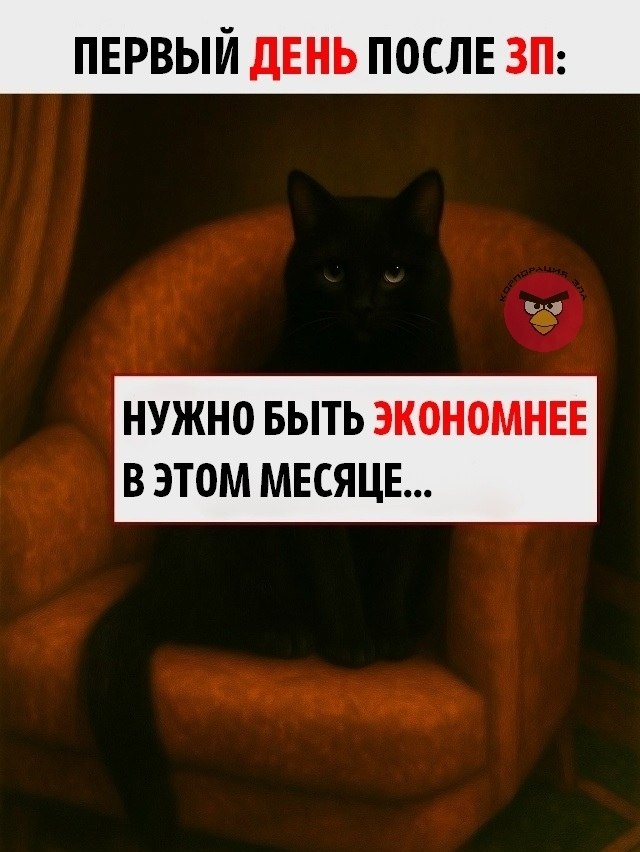   - 9  2025  10:03