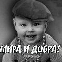 ���� �����, ���������, 52 ���� - ��������� 1 ������ 2026 � ������ ���� ����������