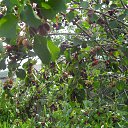 ���� �����, ���������, 70 ��� - ��������� 24 ������ 2025 � ������ ������ ��������