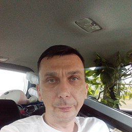 ������, 46 ���, ������������