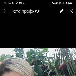 ���, ����������, 43 ����