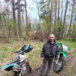 ������, 41 ���, ��������