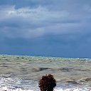  , , 58  -  29  2025   ,  2025