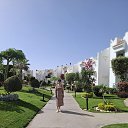 ���� ����, ������������, 50 ��� - ��������� 11 ���� 2025 � ������ ���� ����������