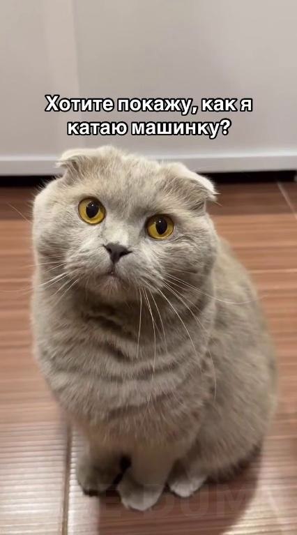aoap, o, o o eoeo! Ka a o aec?