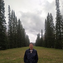 �����, �����-���������, 49 ���