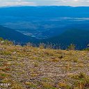  , -, 45  -  16  2024    