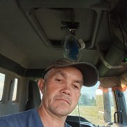 , 53 , 