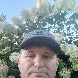 , 65, 