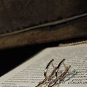 ���� �����, �������, 41 ��� - ��������� 16 �������� 2024 � ������ ���� ����������