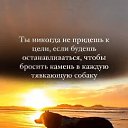  , , 67  -  28  2025    