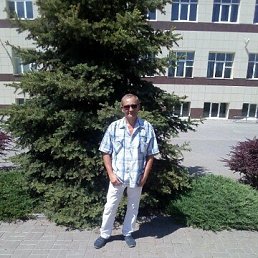 , 52, 